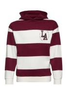 Striped Cotton-Blend Sweatshirt Tops Sweat-shirts & Hoodies Hoodies Mu...