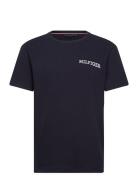 Ss Tee Tops T-shirts Short-sleeved Blue Tommy Hilfiger