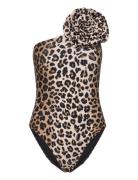 Carriecras Swimsuit Badedrakt Badetøy Brown Cras