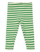 Tnsfinn Rib Leggings Bottoms Leggings Green The New