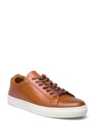 Biaajay 2.0 Crust Lave Sneakers Brown Bianco