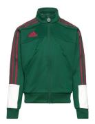 J Np Ttop Tops Sweat-shirts & Hoodies Sweat-shirts Green Adidas Sports...
