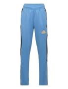 J Np Tiro Pant Bottoms Sweatpants Blue Adidas Sportswear