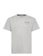 Graphic Script Relaxed T-Shirt T-shirts Short-sleeved Grey GANT