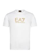 T-Shirt Tops T-shirts Short-sleeved White EA7