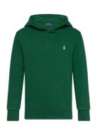 Fleece Hoodie Tops Sweat-shirts & Hoodies Hoodies Green Ralph Lauren K...