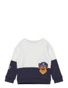 Paw Patrol Sweatshirt Tops Sweat-shirts & Hoodies Sweat-shirts Multi/p...