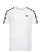 Essentials Single Jersey 3-Stripes T-Shirt Sport T-shirts Short-sleeve...