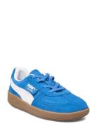 Palermo Ac Inf Sport Sneakers Low-top Sneakers Blue PUMA