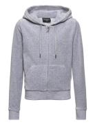 Robertson Class Tops Sweat-shirts & Hoodies Hoodies Grey Juicy Couture