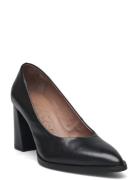 Iconic Shoes Heels Pumps Classic Black Wonders