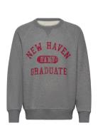 Graphic C-Neck Sweat Tops Sweat-shirts & Hoodies Sweat-shirts Grey GAN...