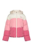 Color Block Puffer / Lvg Color Block Puffer Fôret Jakke Pink Levi's