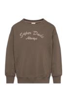 Sweatshirt Ls Tops Sweat-shirts & Hoodies Sweat-shirts Brown Minymo