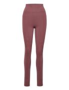 Sculpt Seamless Tights Sport Running-training Tights Seamless Tights P...