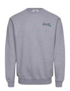 Stan Og Crew Designers Sweat-shirts & Hoodies Sweat-shirts Grey Stan R...