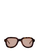 Pascal Tortoise Cinnamon Accessories Sunglasses D-frame- Wayfarer Sung...