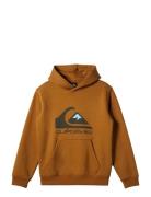 Big Logo Hoodie Youth Tops Sweat-shirts & Hoodies Hoodies Brown Quiksi...