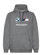 Bmw Mms Ess Hoodie Fleece Sport Sweat-shirts & Hoodies Hoodies Grey PU...