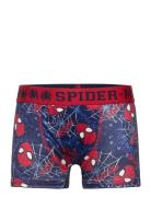 Boxer Night & Underwear Underwear Underpants Navy Spider-man