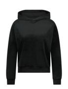 Hoody Ls Velours Tops Sweat-shirts & Hoodies Hoodies Black Hunkemöller