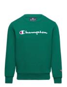 Crewneck Sweatshirt Sport Sweat-shirts & Hoodies Sweat-shirts Green Ch...