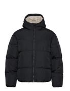 Hco. Guys Outerwear Fôret Jakke Black Hollister