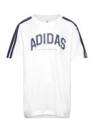 J C Colleg Tee Tops T-shirts Short-sleeved White Adidas Sportswear