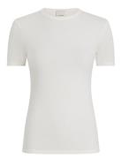 Modal Rib Slim Ss Top Tops T-shirts & Tops Short-sleeved Cream Calvin ...