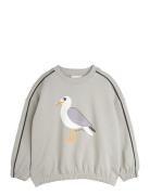 Seagull Sp Sweatshirt Tops Sweat-shirts & Hoodies Sweat-shirts Grey Mi...