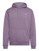 Hco. Guys Sweatshirts Tops Sweat-shirts & Hoodies Hoodies Purple Holli...