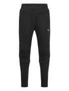 Evostripe Pants Dk B Sport Sweatpants Black PUMA