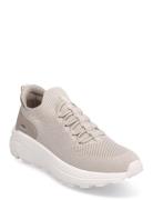 Primrose Lave Sneakers Beige Dasia