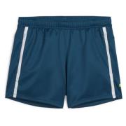 PUMA Treningsshorts IndividualBlaze - Navy