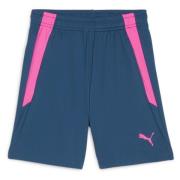 PUMA Treningsshorts teamLIGA 2 - Navy/Poison Pink Barn