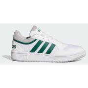 Adidas Hoops 3.0 Summer Shoes