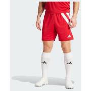 Adidas Fortore 23 Shorts