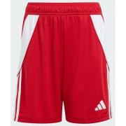 Adidas Tiro 24 Shorts Kids