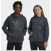 Adidas Original Trefoil Hoodie Kids