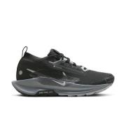 Nike Løpesko Pegasus Trail 5 Gore-Tex - black/grey Grå/Grå Dame