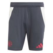 Manchester United Treningsshorts Tiro 24 EU - Grå