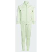 Adidas Original Adicolor SST Track Suit