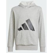 Adidas Essentials Hoodie Kids