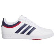 Adidas Hoops 4.0 Shoes