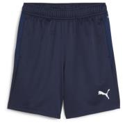 PUMA Treningsshorts teamGOAL - PUMA Navy/PUMA White Barn