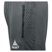 Training pantsRegularFit Monaco v24 grey/white