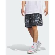 Adidas adidas Crazy Lite AOP Short