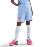 Nike Treningsshorts Dri-FIT Academy 25 Erling Haaland - Lyse lilla/Rød...