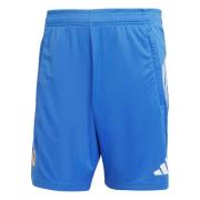 Real Madrid Treningsshorts Tiro 25 EU - Blå fugl