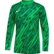 Nike Keeperdrakt Dri-FIT Gardien V L/S - Grønn/Grønn/Hvit Barn